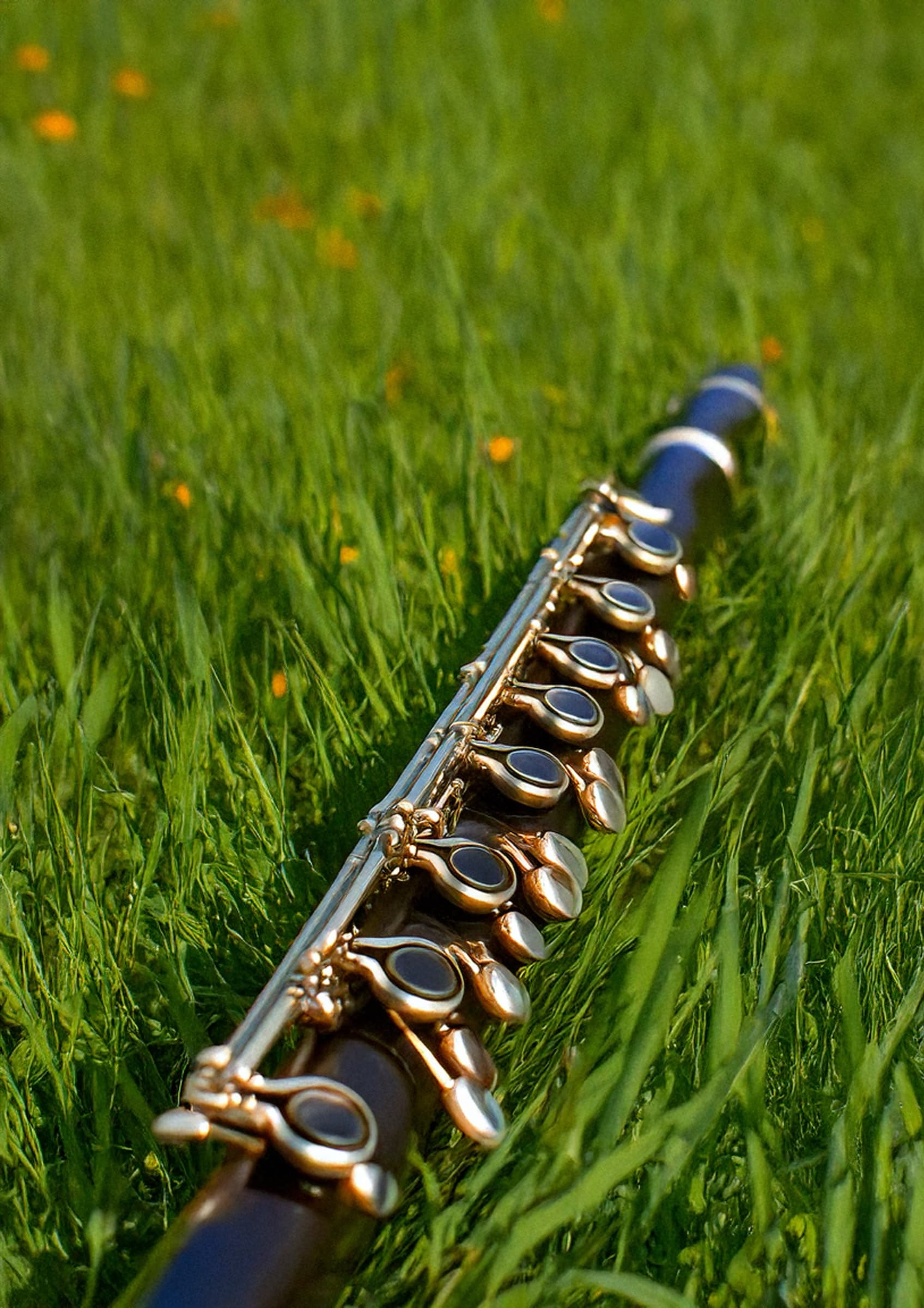 Clarinets Pascueros